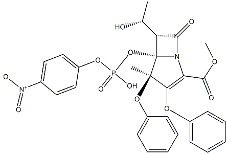 Proteinase, Tritirachium album-Serin-