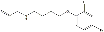 N-allyl-N-[4-(4-bromo-2-chlorophenoxy)butyl]amine Struktur