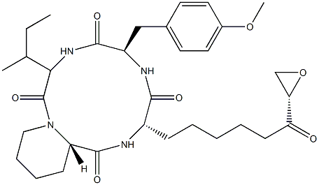 Cyl-2 Struktur