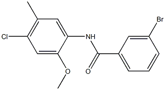 3-bromo-N-(4-chloro-2-methoxy-5-methylphenyl)benzamide Struktur