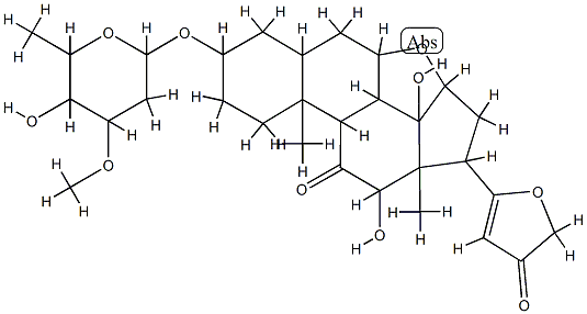 Leptoside Struktur