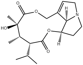 INCANINE Struktur