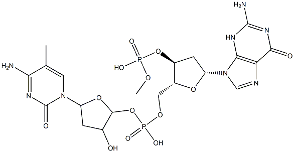 poly(dG-m(5)dC).poly(dG-m(5)dC) Struktur