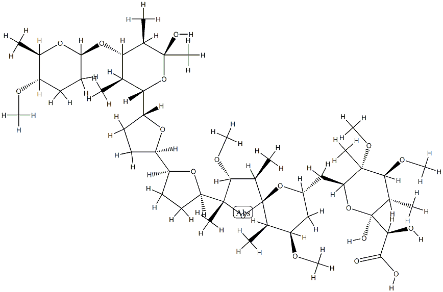 K 41 Struktur