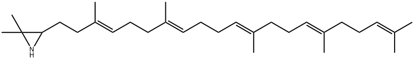 2,3-iminosqualene Struktur