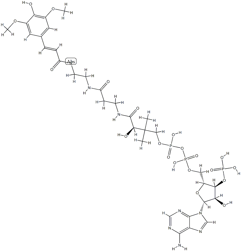 Sinapoyl-CoA Struktur