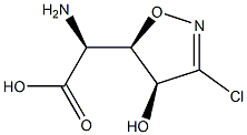 U 43795 Struktur