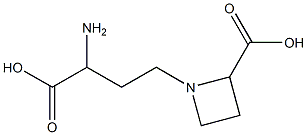 α-Amino-2-carboxy-1-azetidinebutanoic acid Struktur