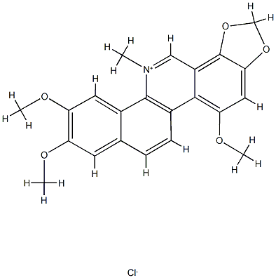 SANGUIRUBINE Struktur