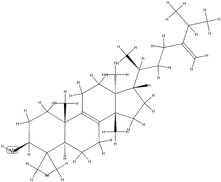 EUPHORBOL Struktur