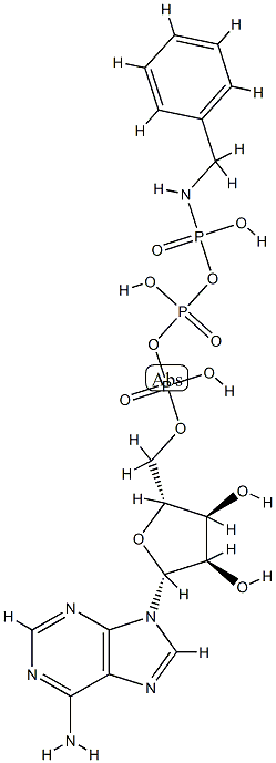 ATP gamma-benzylamide Struktur