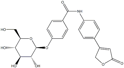 IP 24 Struktur