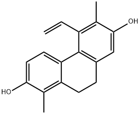 juncusol Struktur