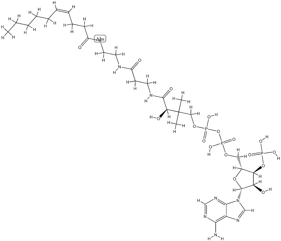 4-cis-Decenoyl-CoA Struktur