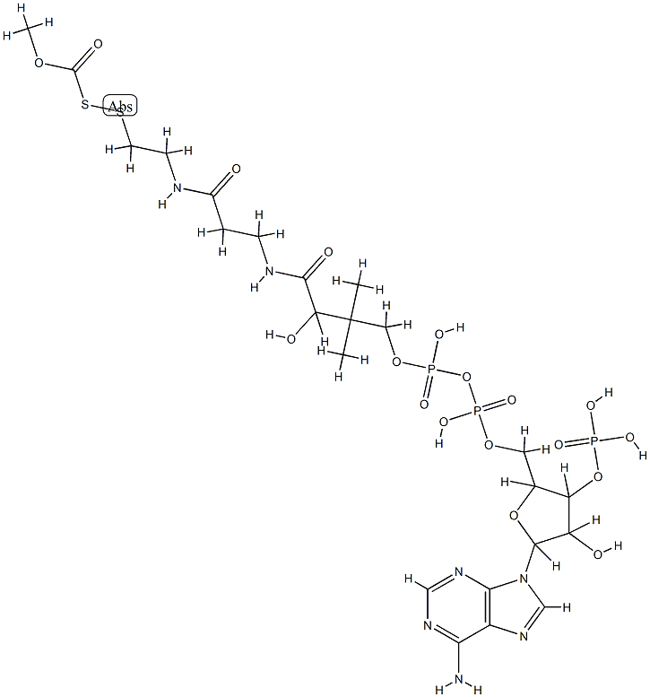 methoxycarbonyl-coenzyme A disulfide Struktur