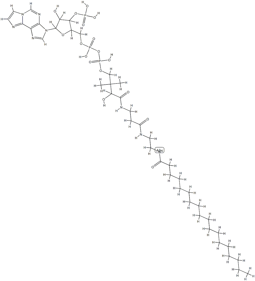 stearoyl-(1,N(6))-etheno-coenzyme A Struktur