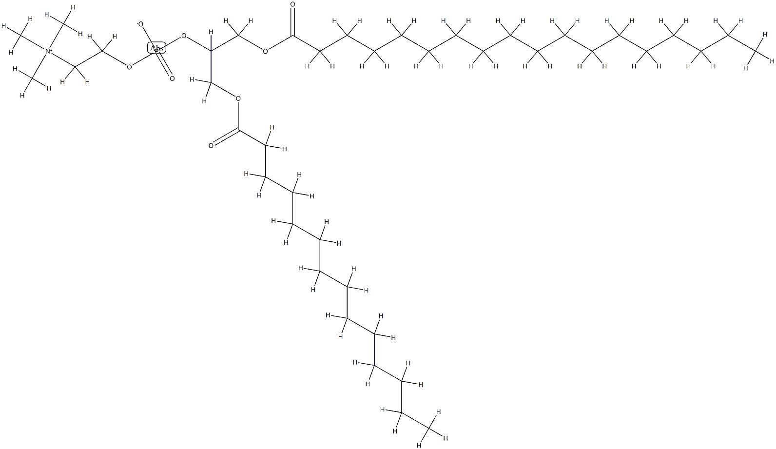 1-stearoyl-3-myristoyl-glycero-2-phosphocholine Struktur