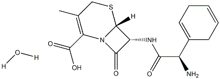 Cephradine monohydrate