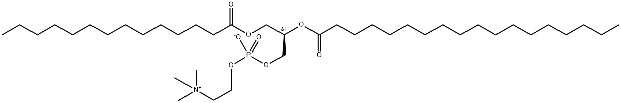 1-myristoyl-2-stearoylphosphatidylcholine Struktur