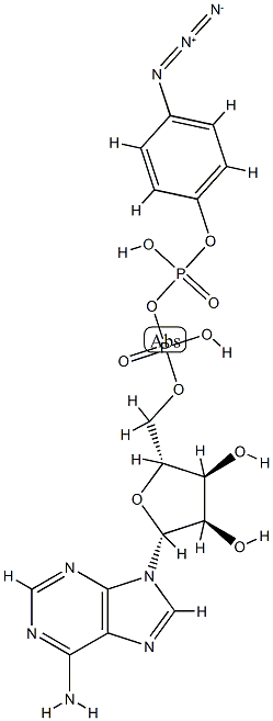 beta-(4-azidophenyl)adenosine 5'-diphosphate Struktur