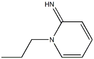 2(1H)-Pyridinimine,1-propyl-(9CI) Struktur