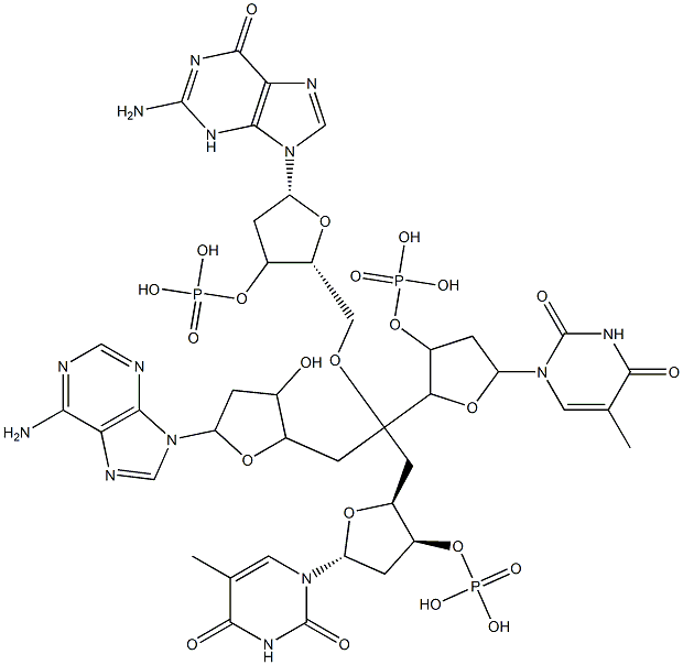 2'-deoxyadenylyl(3'-5')thymidylyl(3'-5')deoxyguanosylyl(3'-5')thymidine Struktur