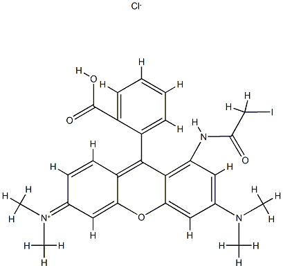 tetramethylrhodamine iodoacetamide Struktur