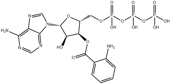 3'-O-anthraniloyl ATP Struktur