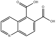 5,6-Quinolinedicarboxylicacid(4CI) Struktur