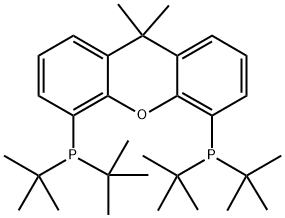 9,9-DIMETHYL-4,5-BIS(DI-T-BUTYLPHOSPHINO)XANTHENE, MIN. 97% T-BU-XANTPHOS Struktur