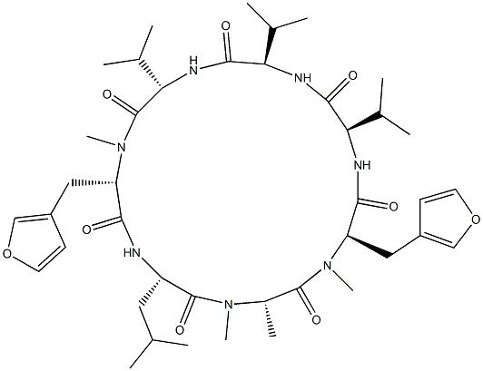 Cyclo[D-Val-D-Val-L-Val-N-methyl-3-(3-furyl)-L-Ala-L-Leu-N-methyl-L-Ala-N-methyl-3-(3-furyl)-D-Ala-] Struktur