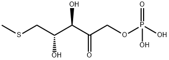 (3,4-dihydroxy-5-methylsulfanyl-2-oxo-pentoxy)phosphonic acid Struktur