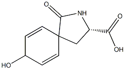 delta-(spiro-4-hydroxy-2,5-cyclohexadienyl)pyroglutamate Struktur