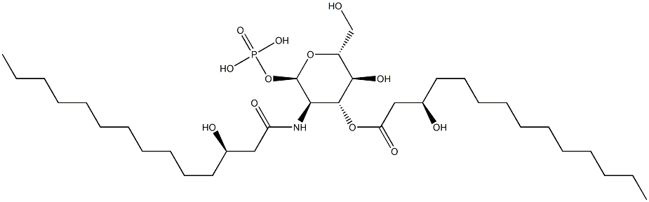 lipid X Struktur