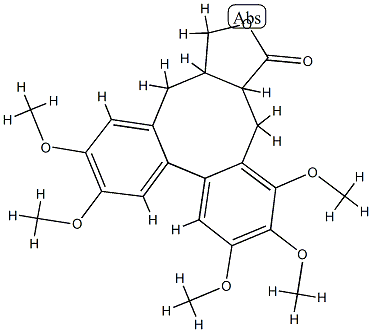 neoisostegane Struktur