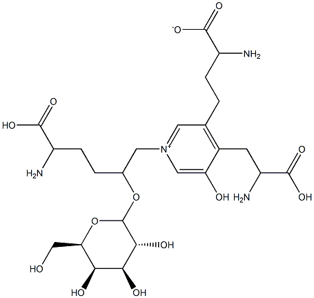 galactosylpyridinoline Struktur