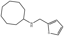 N-(thiophen-2-ylmethyl)cyclooctanamine Struktur