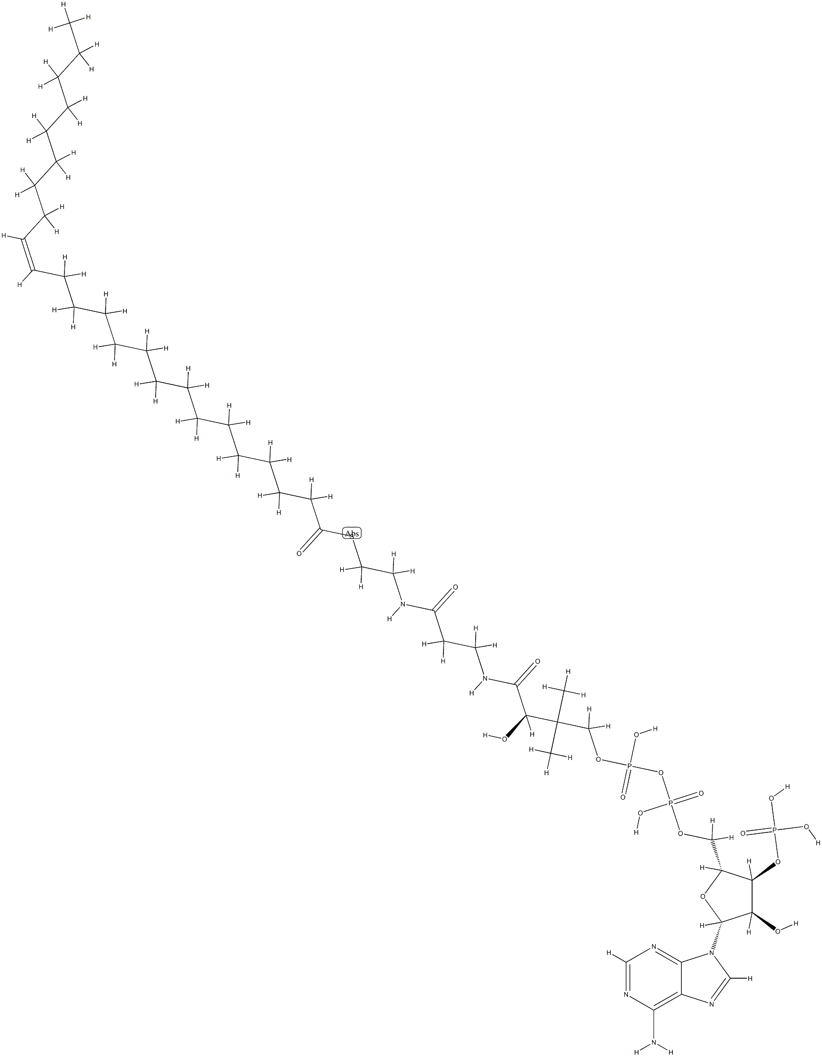 coenzyme A nervonyl derivative (C24:1) Struktur