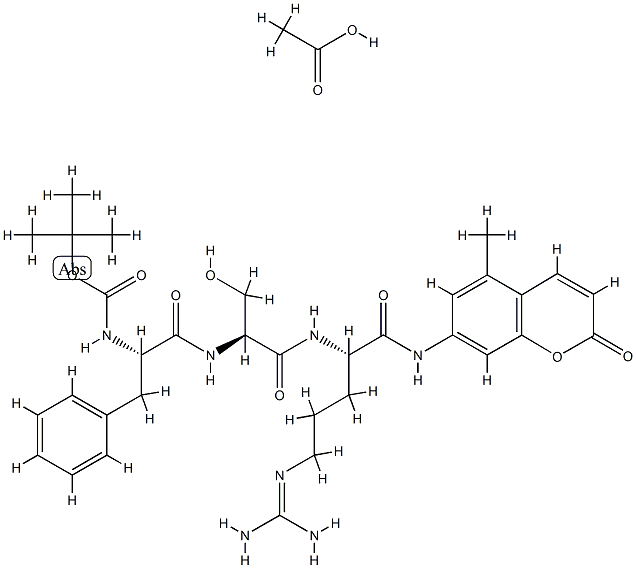 Trypsin Struktur