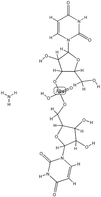 URICASE Structure