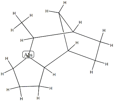 6,9-Methano-1H-pyrrolo[1,2-a]azepine,octahydro-5-methyl-(9CI) Struktur