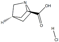 (1R,2R,4R)-rel-1-Azabicyclo[2.2.1]heptane-2-carboxylic acid hydrochloride Struktur