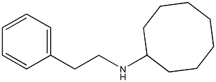 N-(2-phenylethyl)cyclooctanamine Struktur