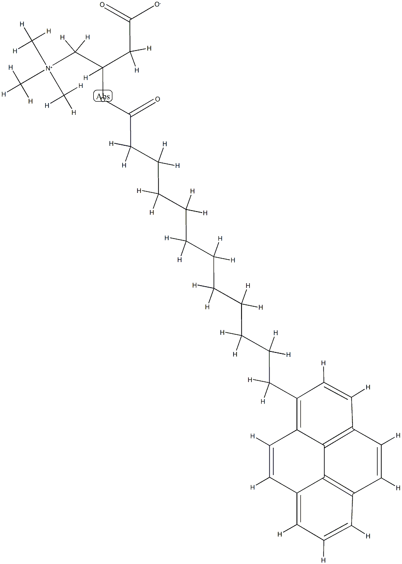 pyrenedodecanoylcarnitine Struktur