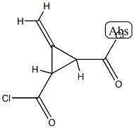 1,2-Cyclopropanedicarbonyl chloride, 3-methylene- (6CI) Struktur