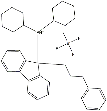 DICYCLOHEXYL[9-(3-PHENYLPROPYL)FLUOREN-9-YL]PHOSPHONIUM TETRAFLUOROBORATE, MIN. 95% [CATACXIUM? FPRPH]