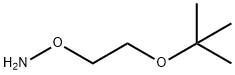 O-(2-tert-butoxyethyl)hydroxylaMine Struktur