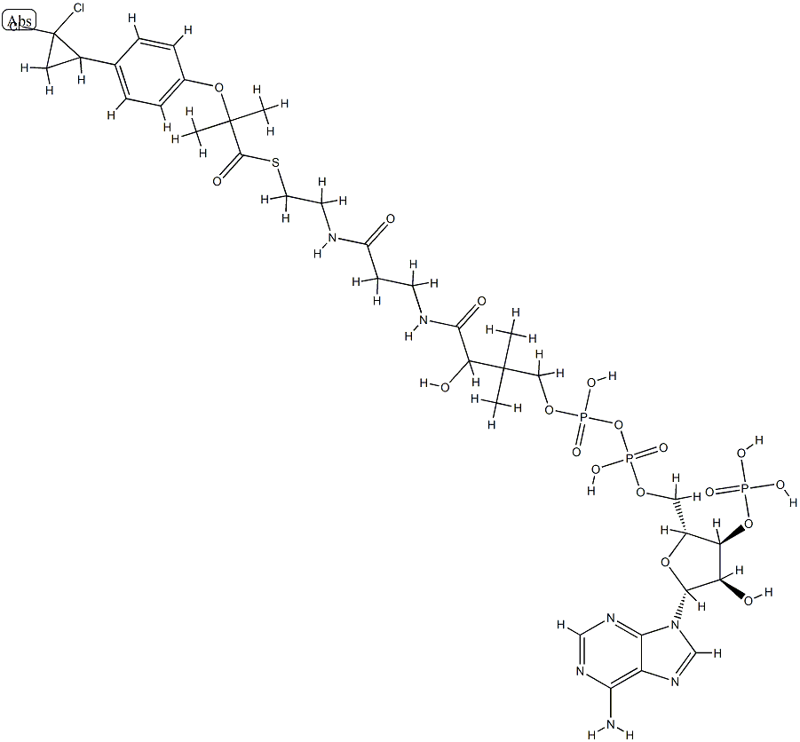 ciprofibrate-coenzyme A Struktur