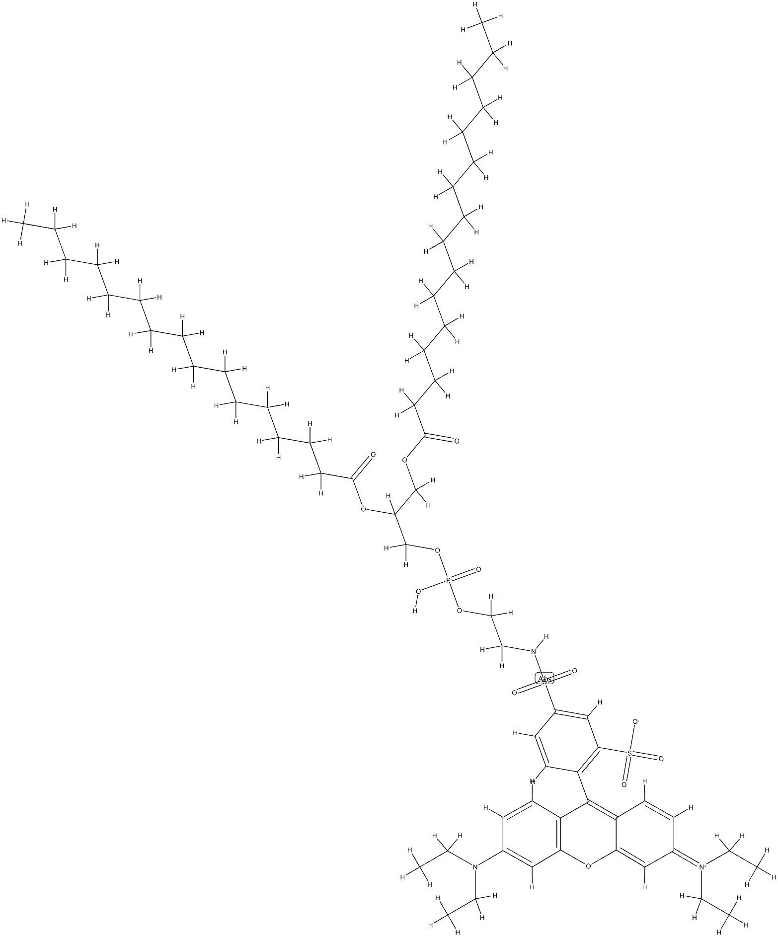 N-(lissamine-rhodamine B sulfonyl)-1,2-dipalmitoylphosphatidylethanolamine Struktur