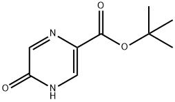 Tert-Butyl 5-Hydroxypyrazine-2-Carboxylate(WXC02199) Struktur